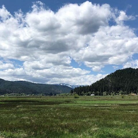 FRLT Nature Journaling Club at Leonhardt Ranch Learning Landscape - logo